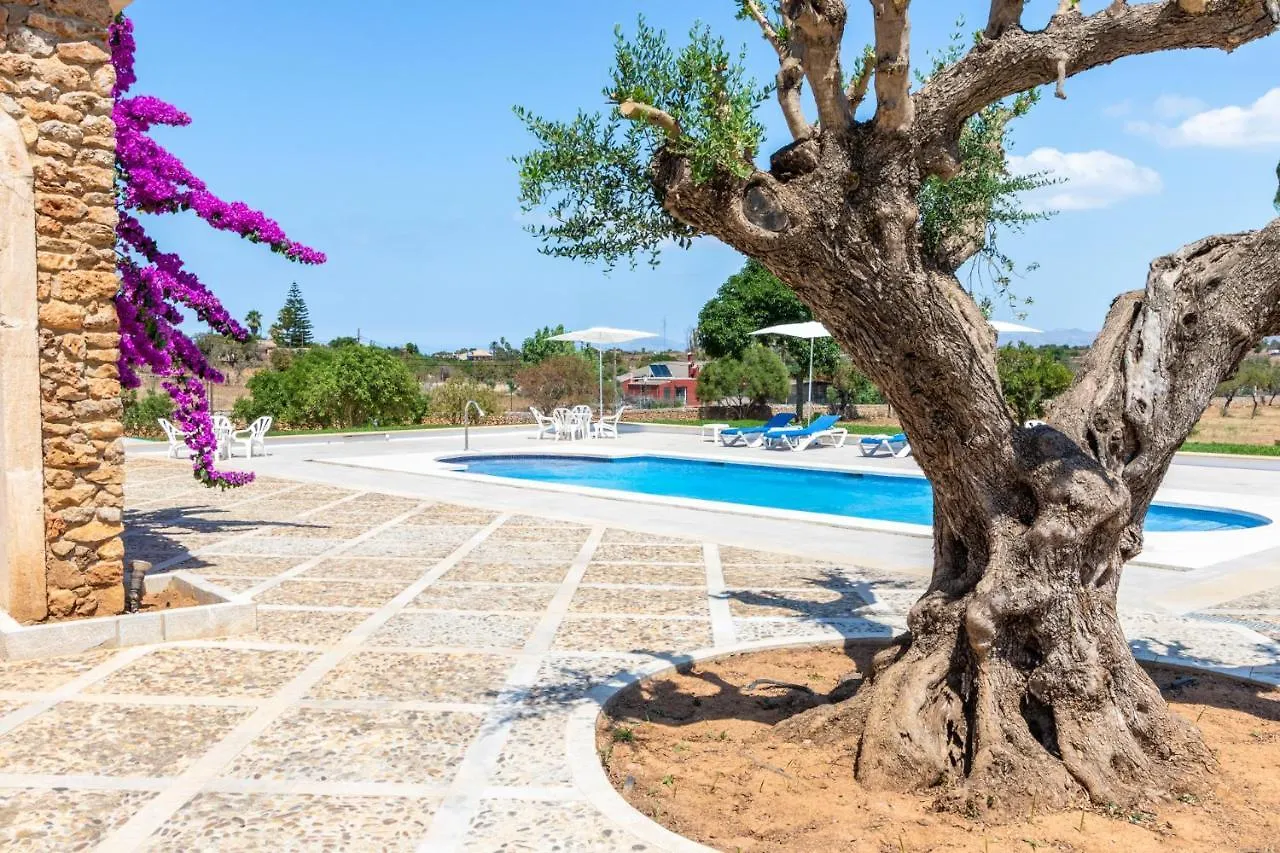Villa Can Turquesa / Casa Turquesa Santa Margalida